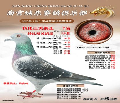 南宮城東三關(guān)鴿王7名