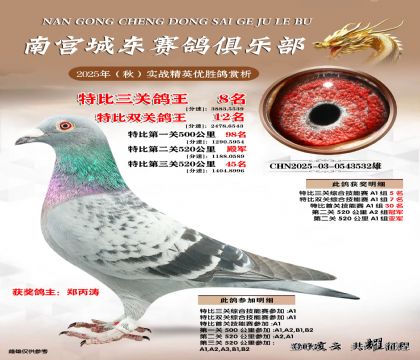 南宮城東三關(guān)鴿王8名
