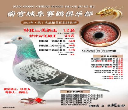南宮城東三關(guān)鴿王12名