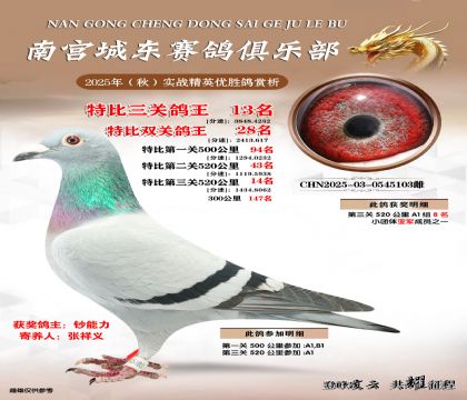 南宮城東三關(guān)鴿王13名