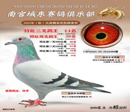 南宮城東三關(guān)鴿王14名