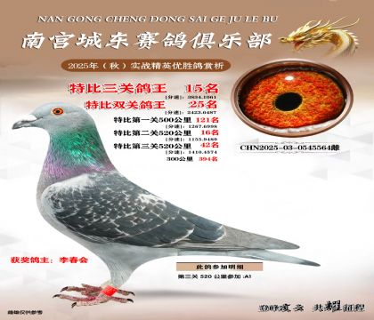 南宮城東三關(guān)鴿王15名