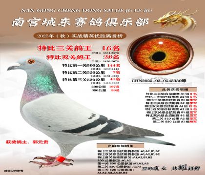 南宮城東三關(guān)鴿王16名