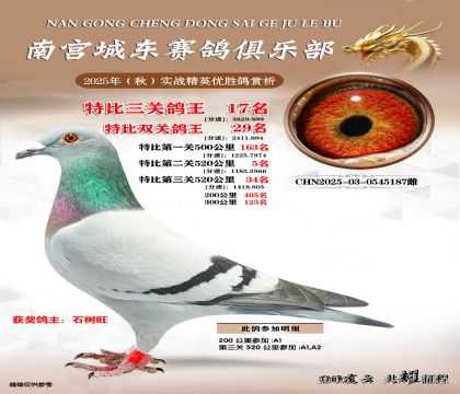 南宮城東三關(guān)鴿王17名