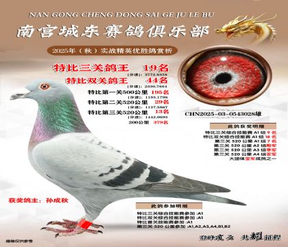 南宮城東三關(guān)鴿王19名