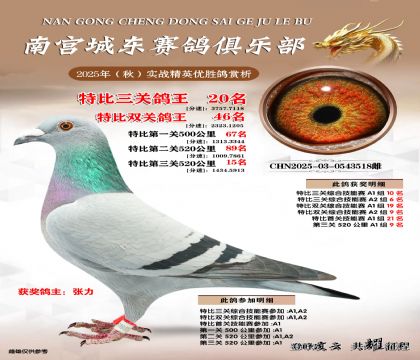 南宮城東三關(guān)鴿王20名