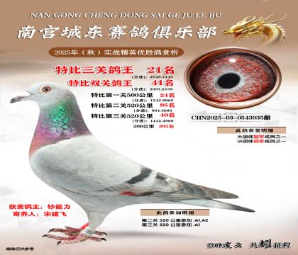 南宮城東三關(guān)鴿王21名