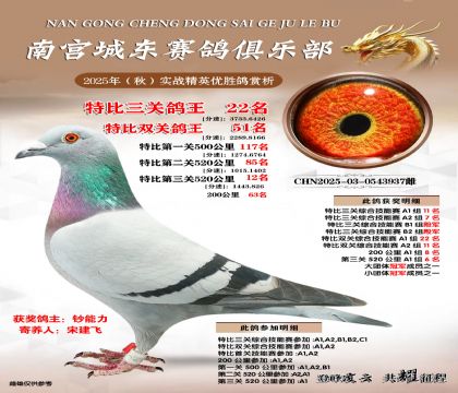 南宮城東三關(guān)鴿王22名