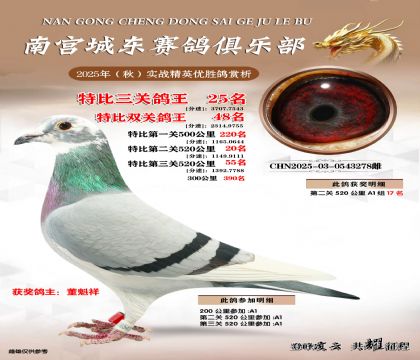 南宮城東三關(guān)鴿王25名