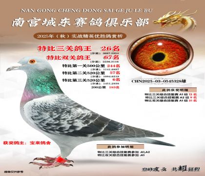 南宮城東三關(guān)鴿王26名