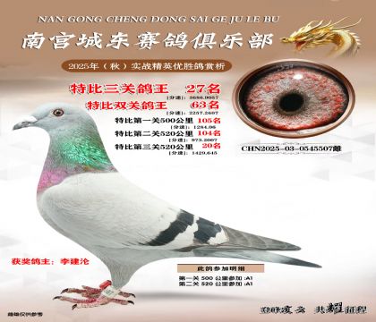 南宮城東三關(guān)鴿王27名