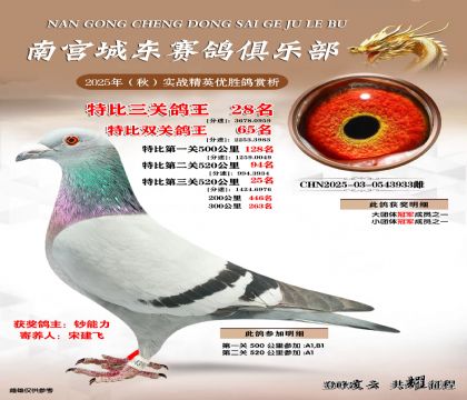南宮城東三關(guān)鴿王28名