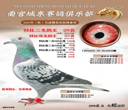 南宮城東三關(guān)鴿王29名