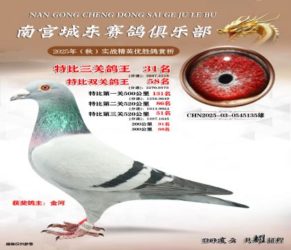南宮城東三關(guān)鴿王31名