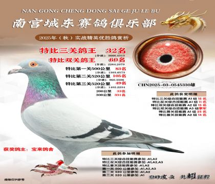 南宮城東三關(guān)鴿王32名