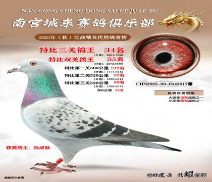 南宮城東三關(guān)鴿王34名