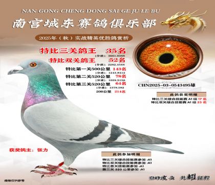 南宮城東三關(guān)鴿王35名