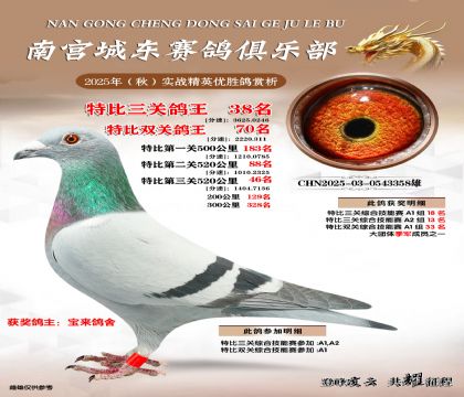 南宮城東三關(guān)鴿王38名