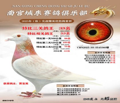 南宮城東三關(guān)鴿王39名