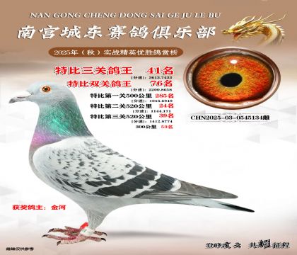 南宮城東三關(guān)鴿王41名
