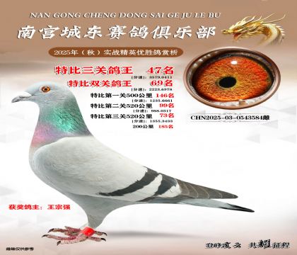 南宮城東三關(guān)鴿王47名
