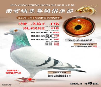 南宮城東三關(guān)鴿王49名