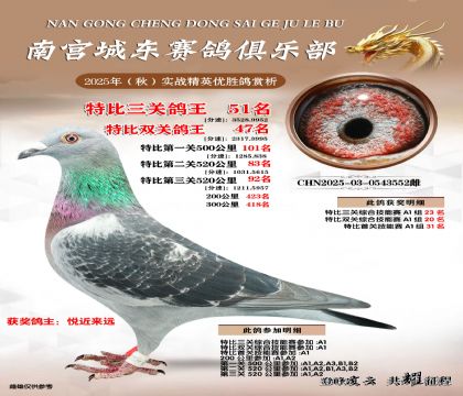 南宮城東三關(guān)鴿王51名