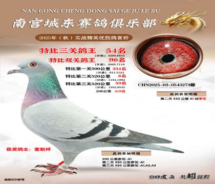 南宮城東三關(guān)鴿王54名