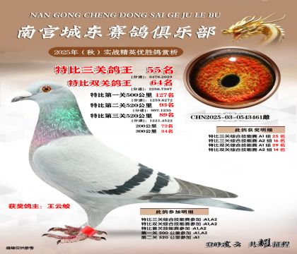 南宮城東三關(guān)鴿王55名