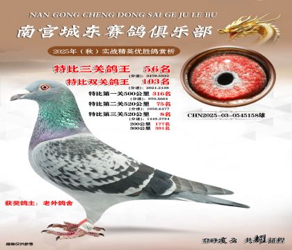 南宮城東三關(guān)鴿王56名