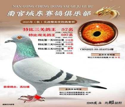 南宮城東三關(guān)鴿王57名
