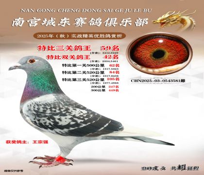 南宮城東三關(guān)鴿王59名