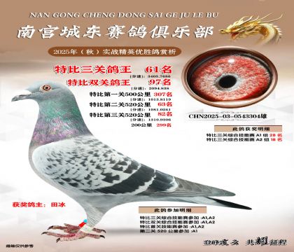 南宮城東三關(guān)鴿王61名