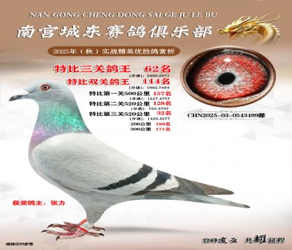 南宮城東三關(guān)鴿王62名