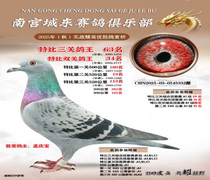 南宮城東三關(guān)鴿王63名