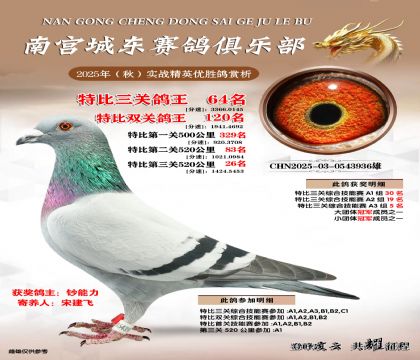 南宮城東三關(guān)鴿王64名