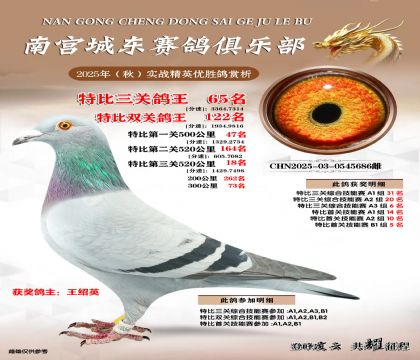 南宮城東三關(guān)鴿王65名