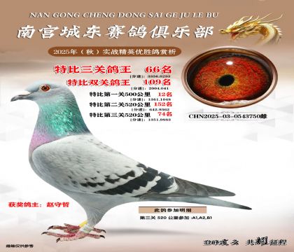 南宮城東三關(guān)鴿王66名