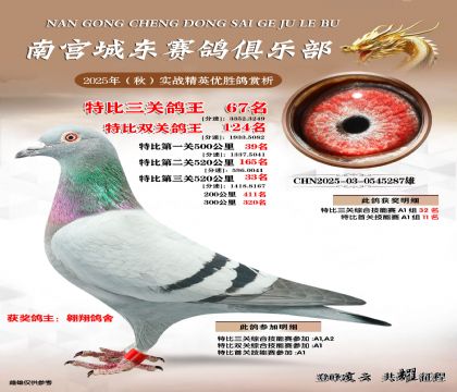 南宮城東三關(guān)鴿王67名
