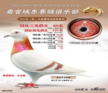 南宮城東三關(guān)鴿王69名