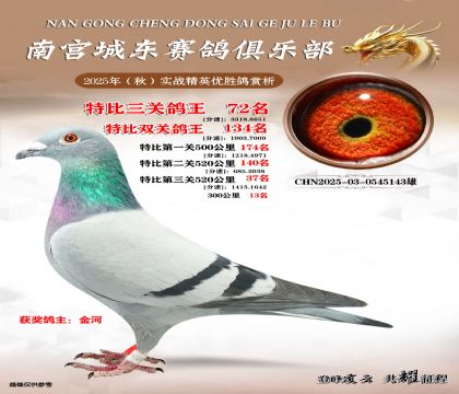 南宮城東三關(guān)鴿王72名