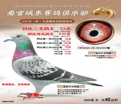南宮城東三關(guān)鴿王73名