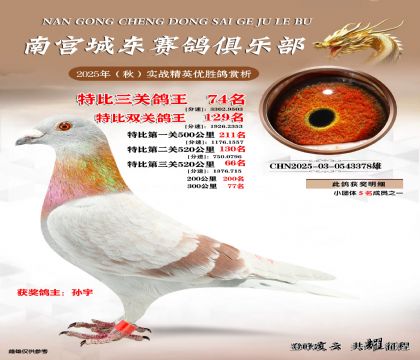 南宮城東三關(guān)鴿王74名