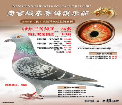 南宮城東三關(guān)鴿王76名