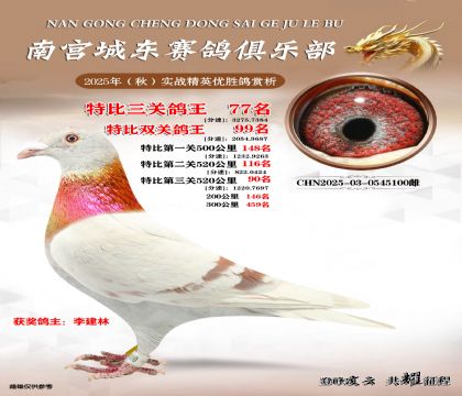 南宮城東三關(guān)鴿王77名