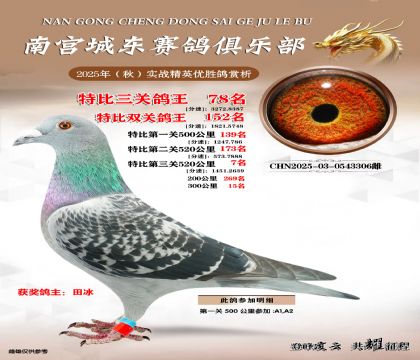 南宮城東三關(guān)鴿王78名