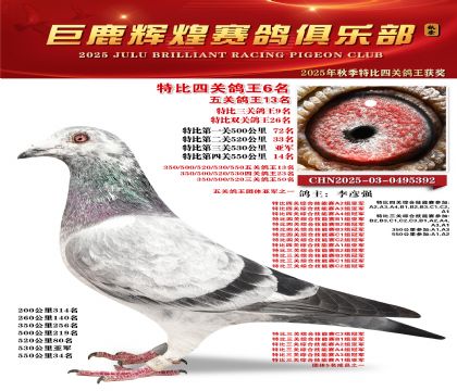 巨鹿輝煌特比四關(guān)鴿王6名