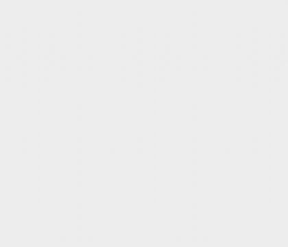 巨鹿輝煌特比四關(guān)鴿王92名