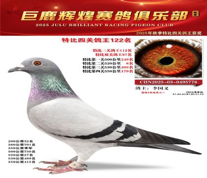 巨鹿輝煌特比四關(guān)鴿王122名