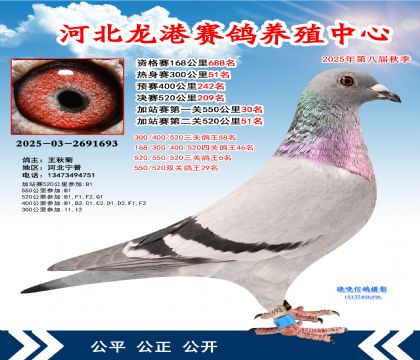 河北龍港加站雙關(guān)鴿王29名(決賽209名)